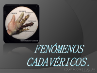 FENOMENOS CADAVÉRICOS..pdf